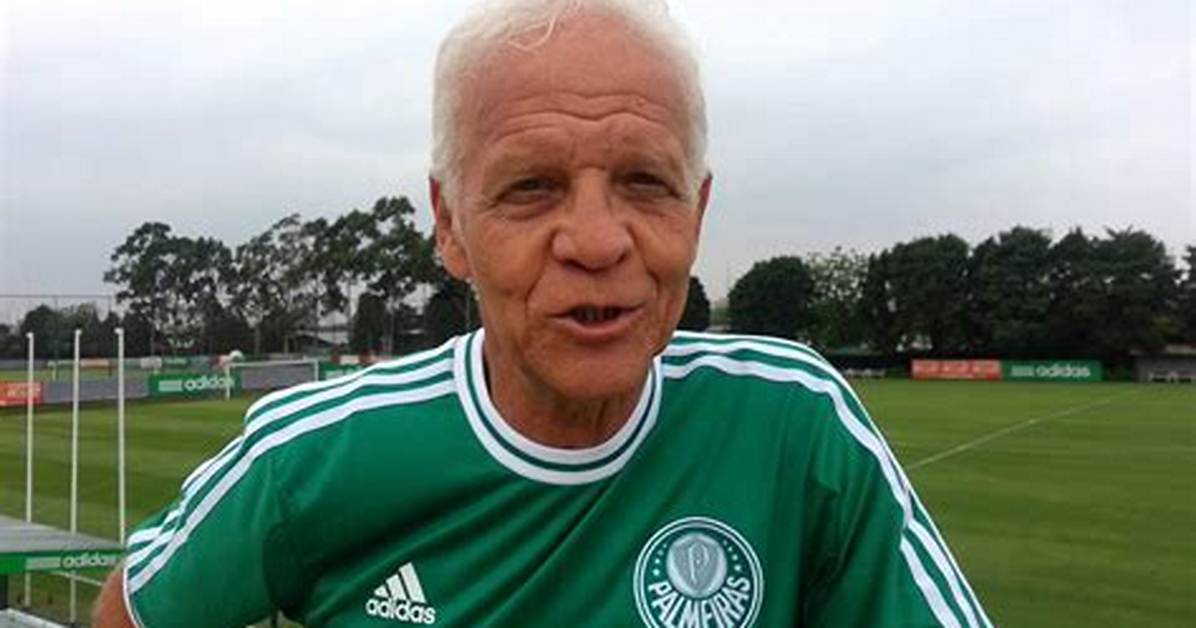Ademir Da Guia Net Worth 2024, Age, Height, Bio, Birthday, Wiki!
