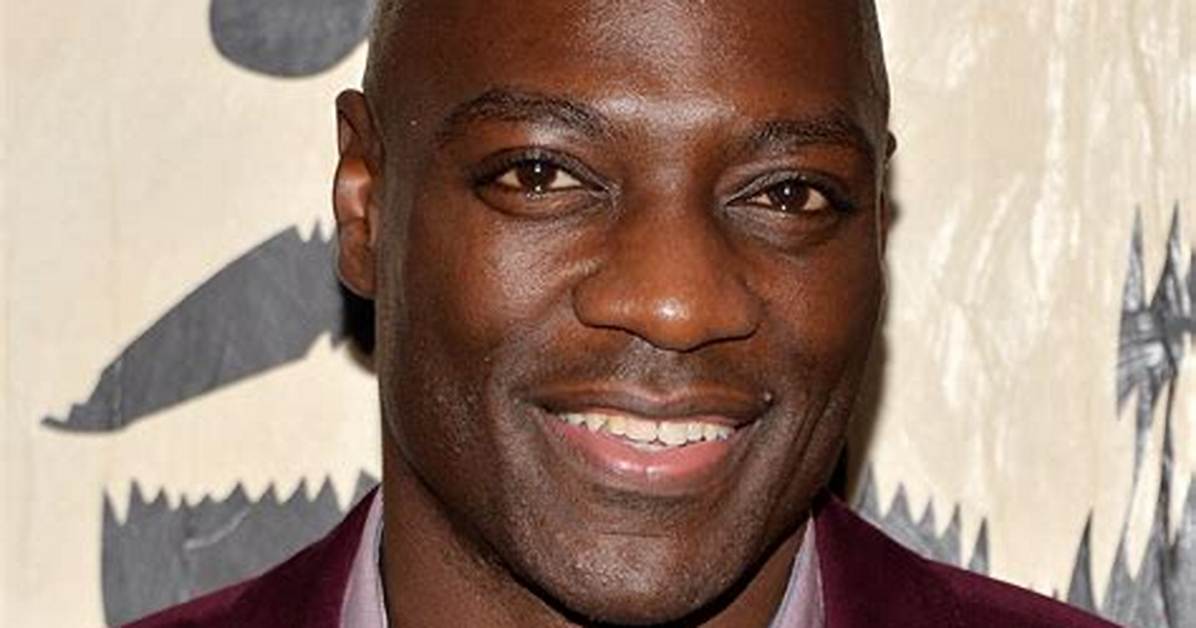 Adewale Akinnuoye-Agbaje - Net Worth, Age, Height, Birthday, Bio, Wiki!
