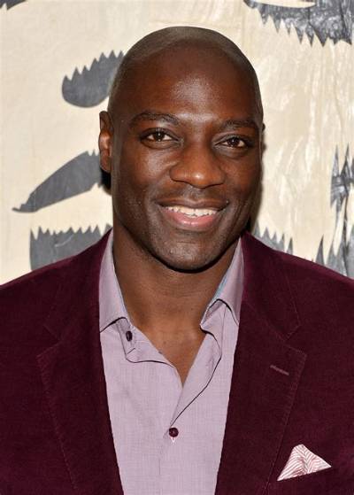 Adewale Akinnuoye-Agbaje - Net Worth, Age, Height, Birthday, Bio, Wiki!