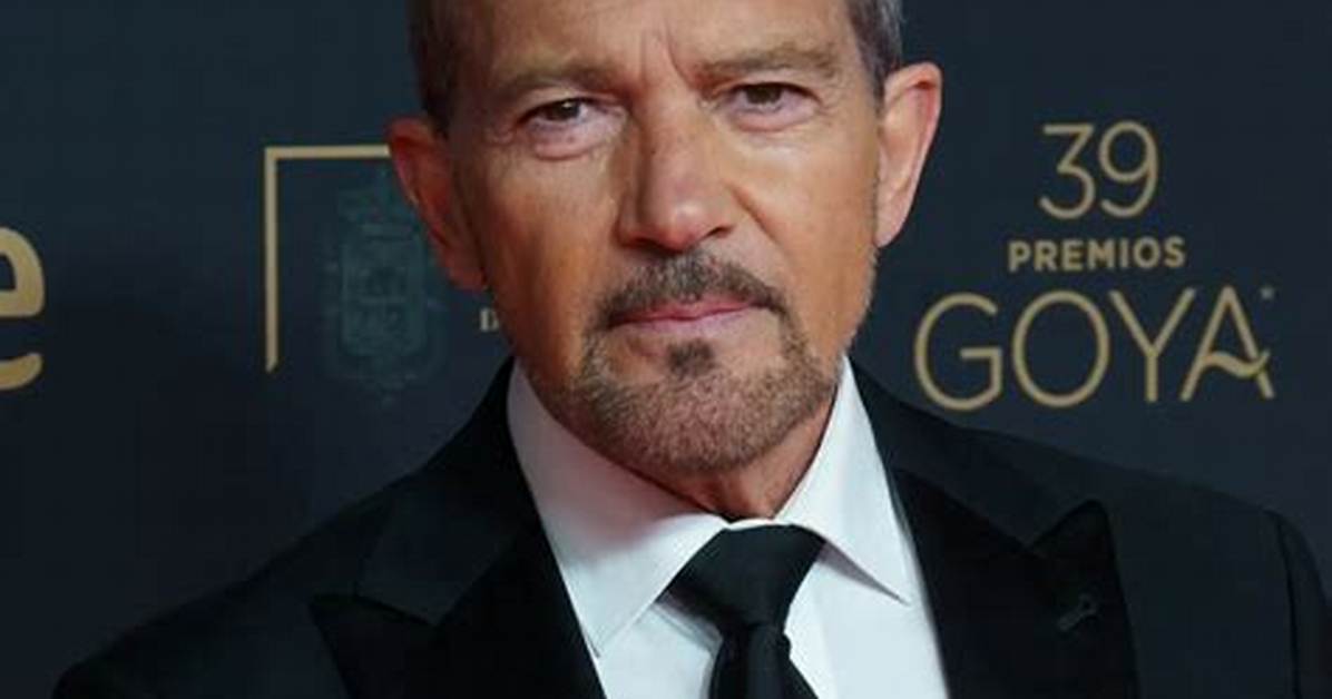 Antonio Vega Net Worth 2024, Age, Height, Bio, Birthday, Wiki!