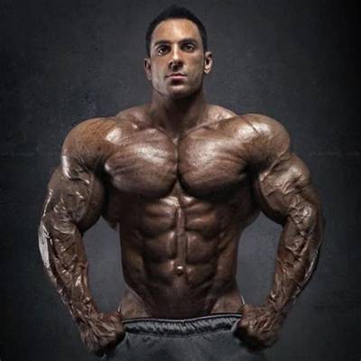 Armon Adibi - Net Worth, Age, Height, Birthday, Bio, Wiki!