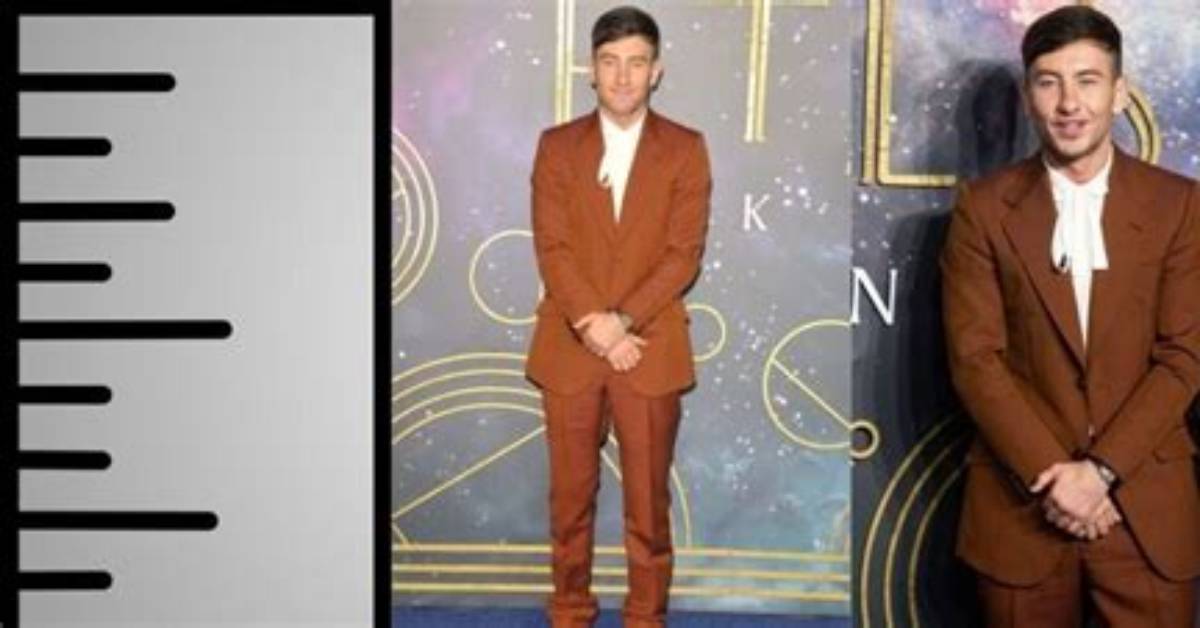 Barry Keoghan Net Worth, Age, Height, Bio, Birthday, Wiki!