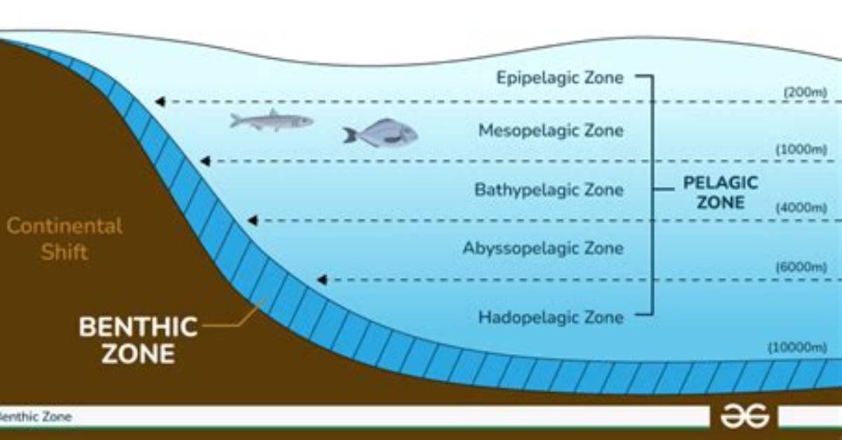 Benthic