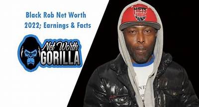 Black Rob Net Worth 2024, Age, Height, Bio, Birthday, Wiki!