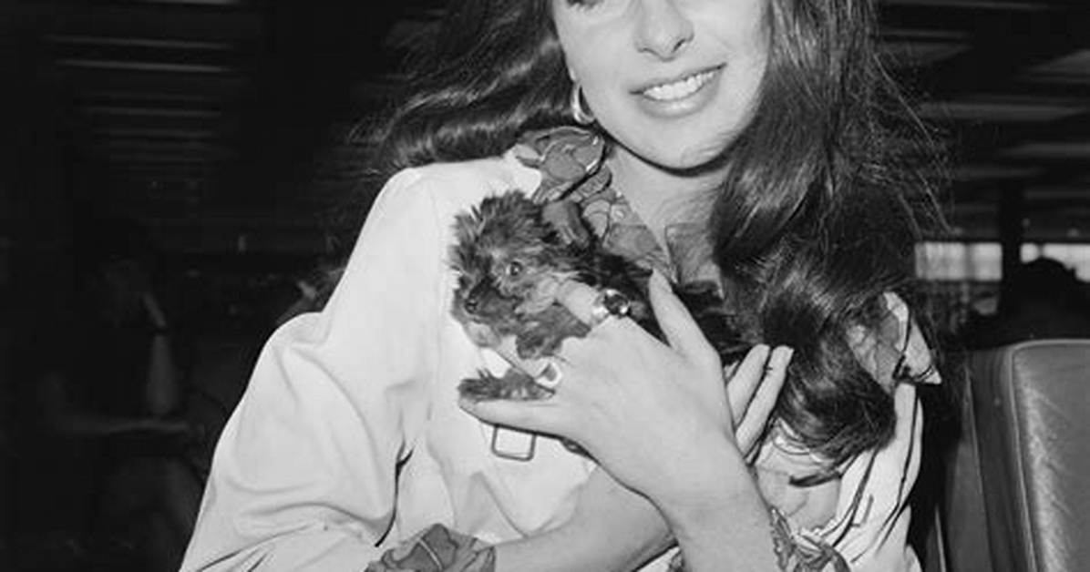 Bobbie Gentry Net Worth, Age, Height, Bio, Birthday, Wiki!