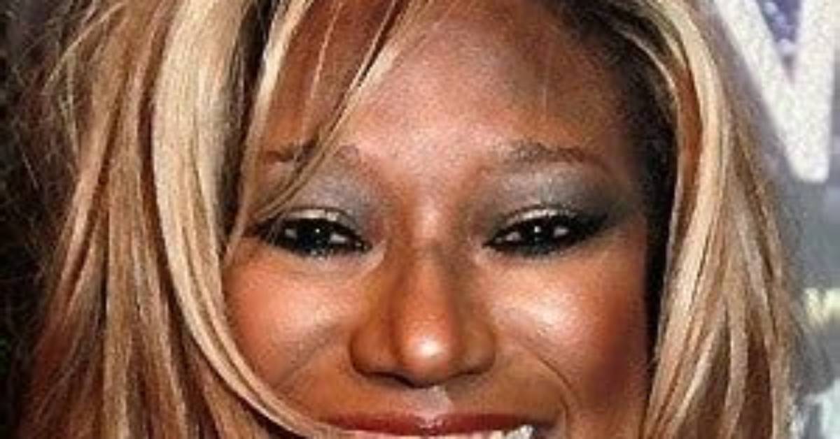 Bonnie Pointer Net Worth, Age, Height, Bio, Birthday, Wiki!