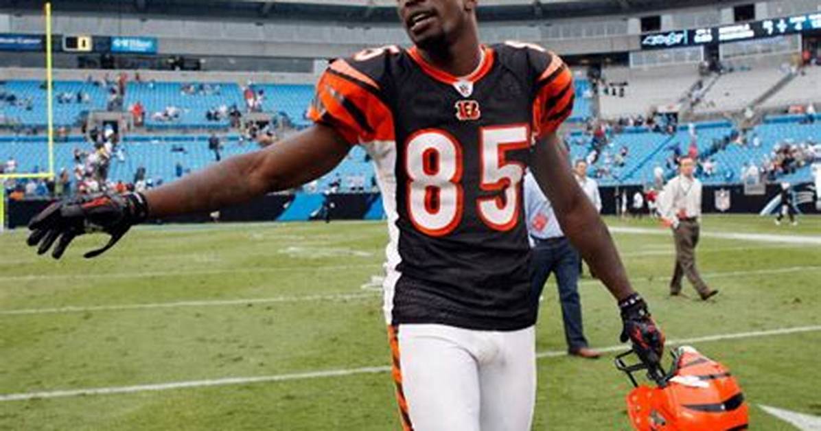 Chad Johnson Net Worth, Age, Height, Bio, Birthday, Wiki!