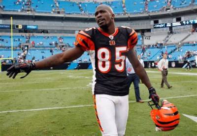 Chad Johnson Net Worth, Age, Height, Bio, Birthday, Wiki!
