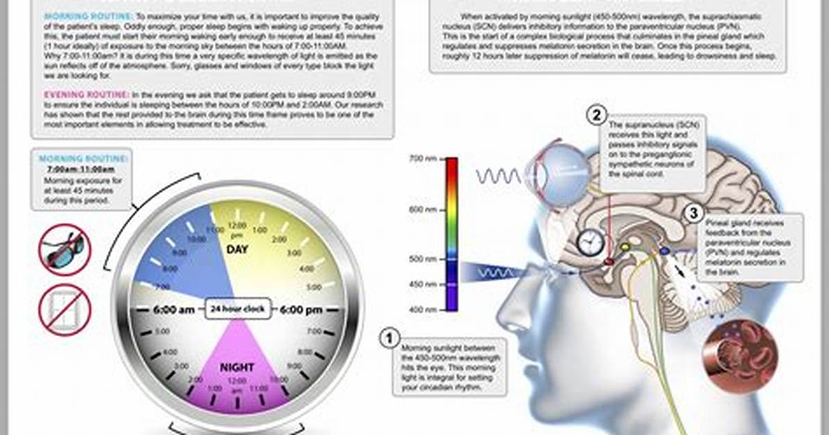 Circadian