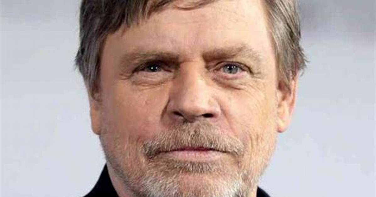 Dan Hamill Net Worth 2024, Age, Height, Bio, Birthday, Wiki!