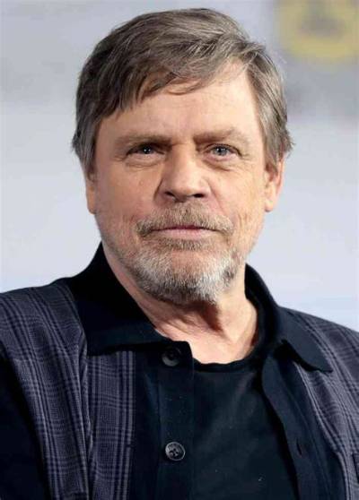 Dan Hamill Net Worth 2024, Age, Height, Bio, Birthday, Wiki!