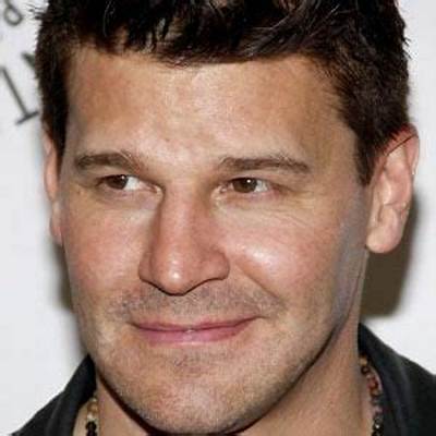 David Angel - Net Worth, Age, Height, Birthday, Bio, Wiki!