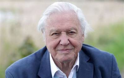 David Attenborough Net Worth, Age, Height, Bio, Birthday, Wiki!