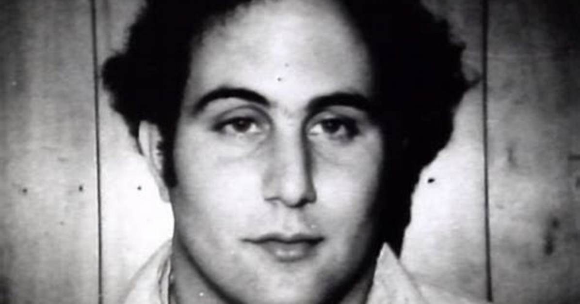 David Berkowitz - Net Worth, Age, Height, Birthday, Bio, Wiki!