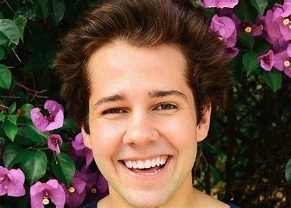 David Dobrik Net Worth, Age, Height, Bio, Birthday, Wiki!