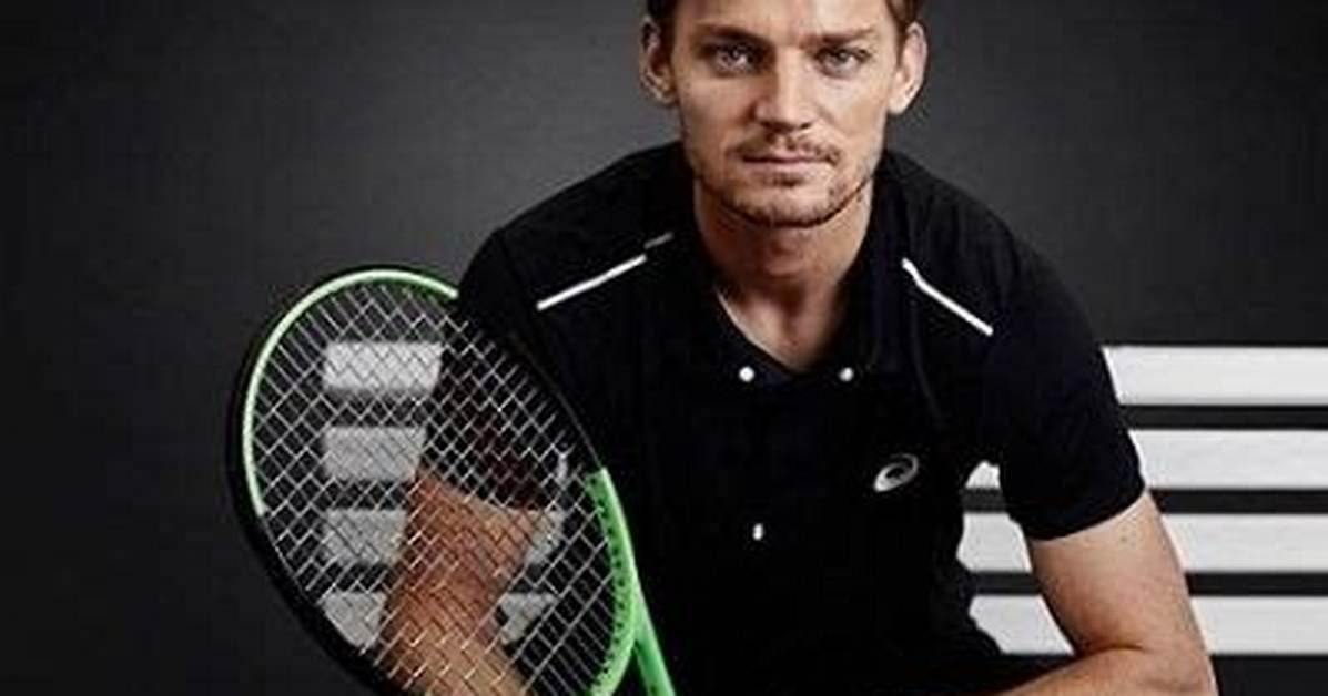 David Goffin - Net Worth, Age, Height, Birthday, Bio, Wiki!