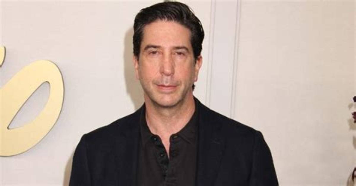 David Schwimmer Net Worth 2024, Age, Height, Bio, Birthday, Wiki!