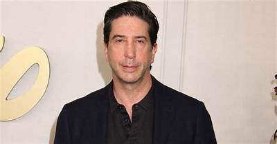 David Schwimmer Net Worth 2024, Age, Height, Bio, Birthday, Wiki!