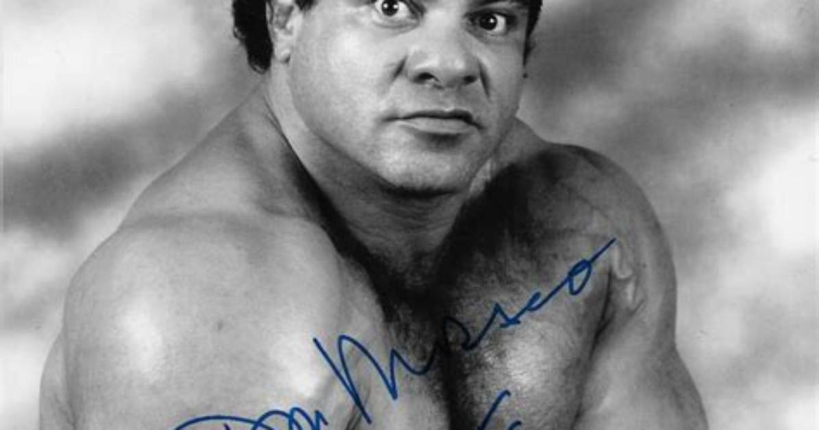 Don Muraco Net Worth 2024, Age, Height, Bio, Birthday, Wiki!
