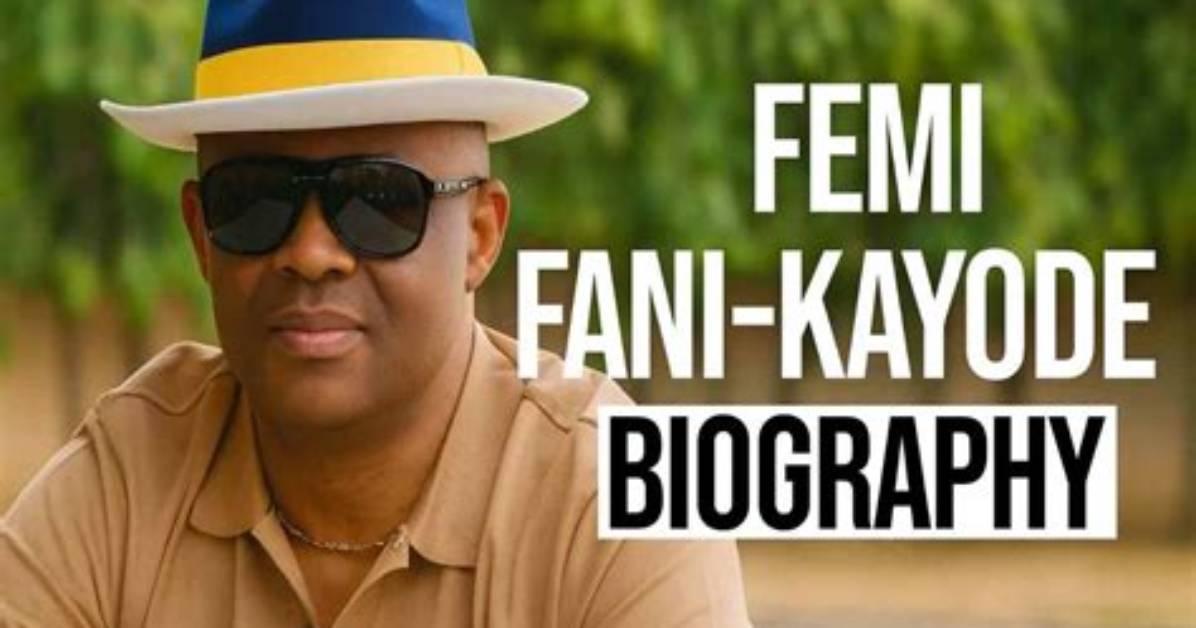 Femi Fani Kayode Net Worth, Age, Height, Bio, Birthday, Wiki!