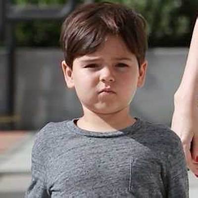 Flynn Bloom Net Worth, Age, Height, Bio, Birthday, Wiki!