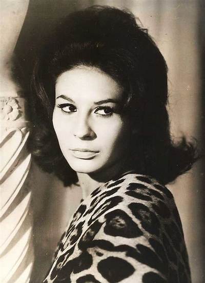 Franca Bettoia - Net Worth, Age, Height, Birthday, Bio, Wiki!