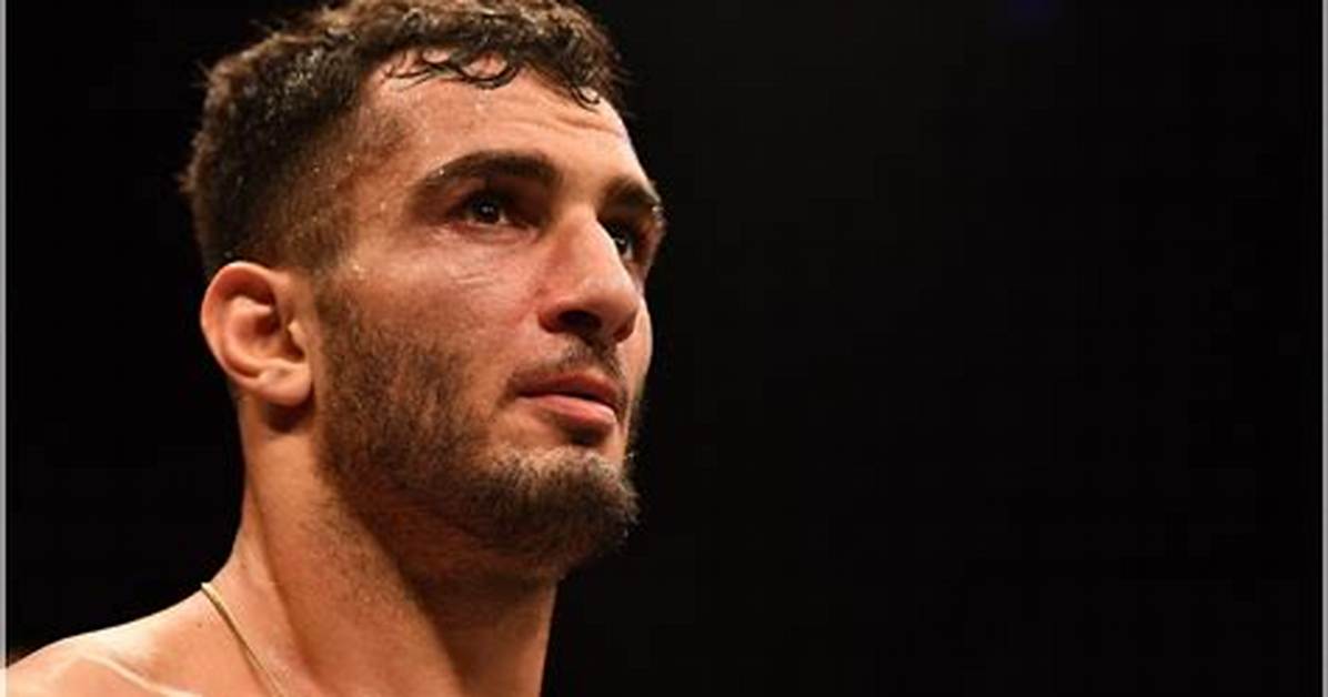 Gegard Mousasi Net Worth, Age, Height, Bio, Birthday, Wiki!