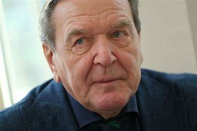 Gerhard De Beer - Net Worth, Age, Height, Birthday, Bio, Wiki!