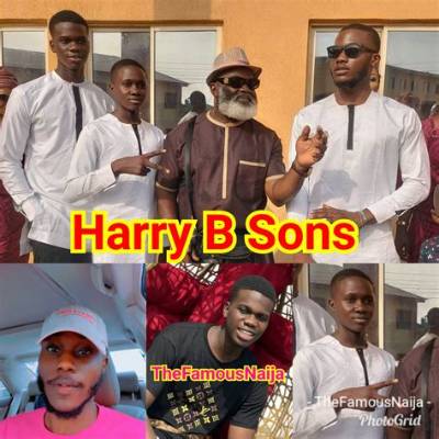 Harry Anyanwu - Net Worth, Age, Height, Birthday, Bio, Wiki!