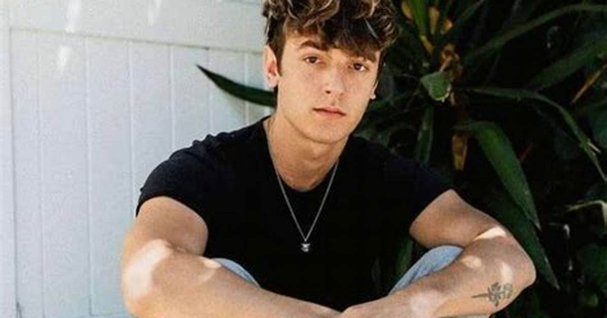 Harry Hall Net Worth, Age, Height, Bio, Birthday, Wiki!