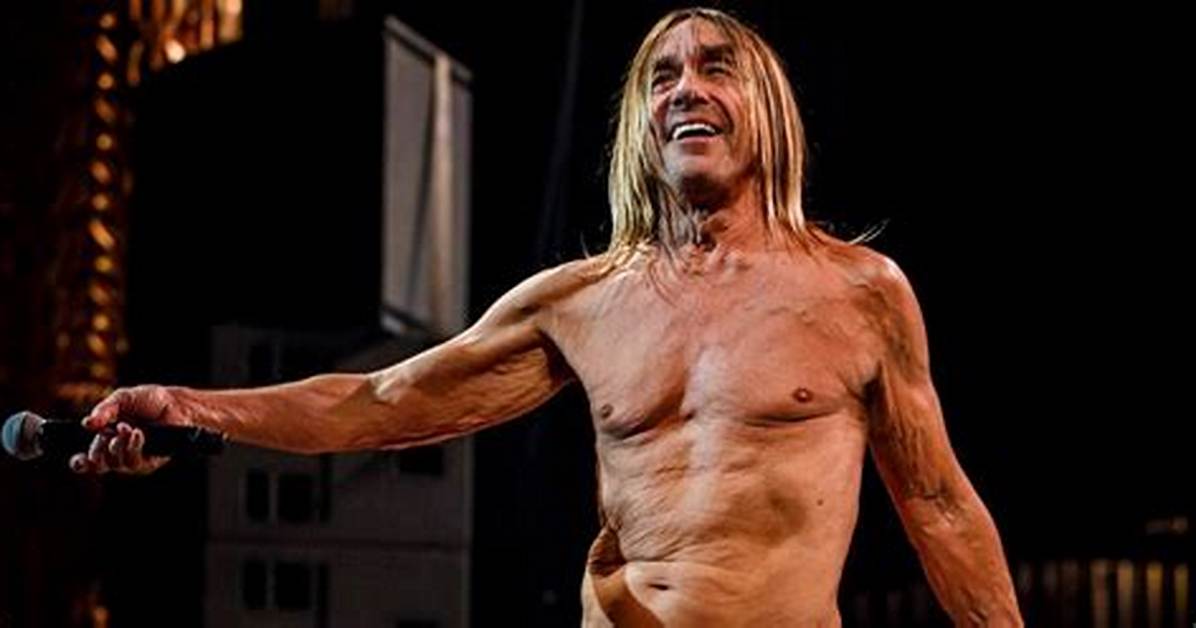 Iggy Pop Net Worth, Age, Height, Bio, Birthday, Wiki!