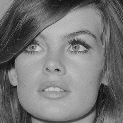 Jean Shrimpton Net Worth, Age, Height, Bio, Birthday, Wiki!