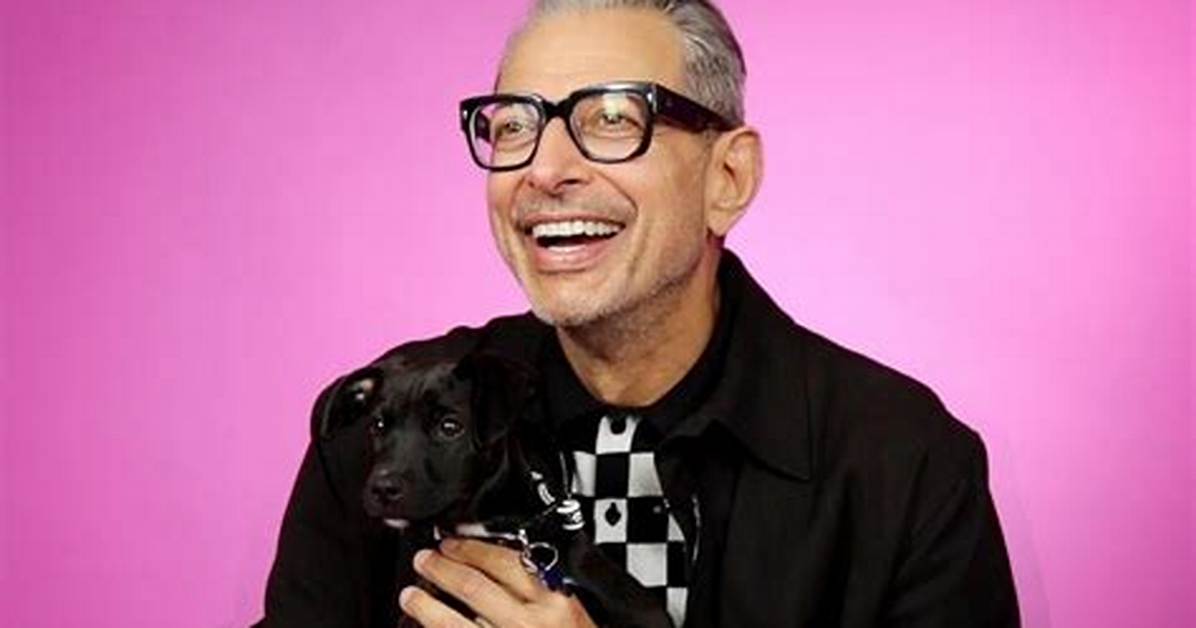 Jeff Goldblum Net Worth, Age, Height, Bio, Birthday, Wiki!