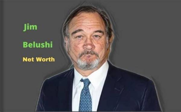 Jim Belushi Net Worth, Age, Height, Bio, Birthday, Wiki!