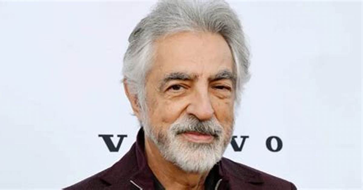 Joe Mantegna Net Worth 2024, Age, Height, Bio, Birthday, Wiki!
