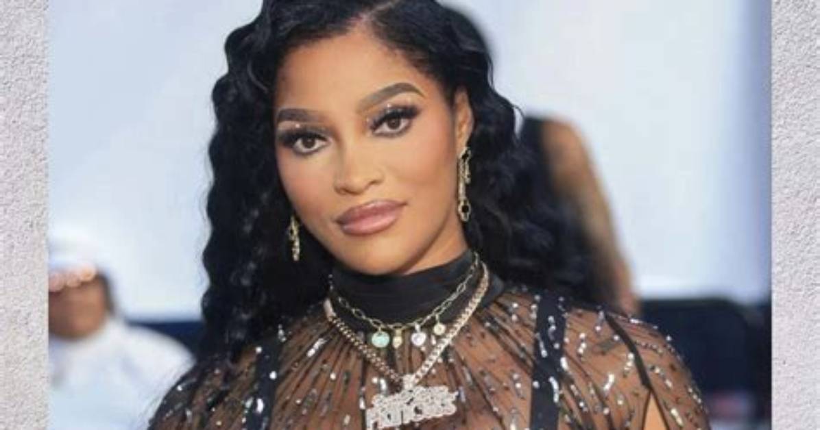 Joseline Hernandez Net Worth, Age, Height, Bio, Birthday, Wiki!