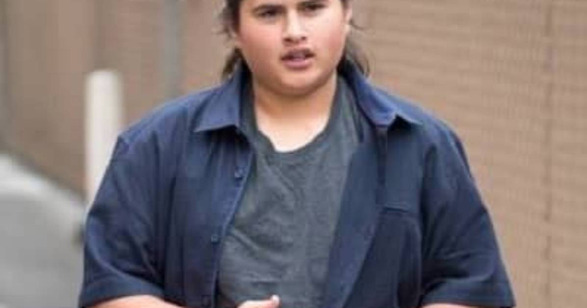 Julian Dennison Net Worth, Age, Height, Bio, Birthday, Wiki!