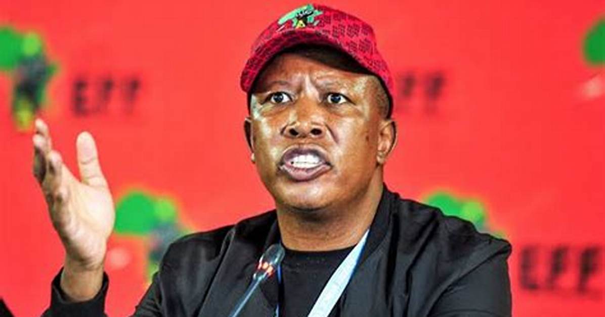 Julius Malema Net Worth, Age, Height, Bio, Birthday, Wiki!
