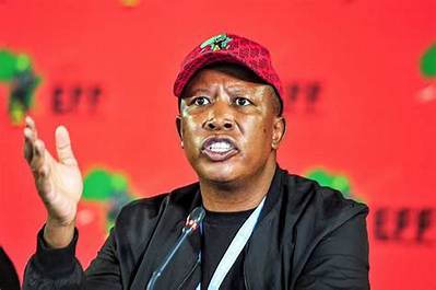 Julius Malema Net Worth, Age, Height, Bio, Birthday, Wiki!