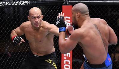 Junior Dos Santos Net Worth, Age, Height, Bio, Birthday, Wiki!