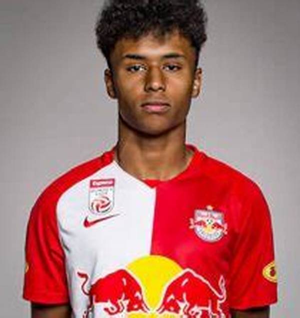 Karim Adeyemi Net Worth 2024, Age, Height, Bio, Birthday, Wiki!