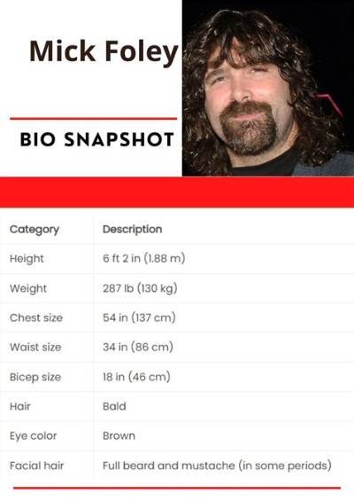 Mick Foley Net Worth 2024, Age, Height, Bio, Birthday, Wiki!