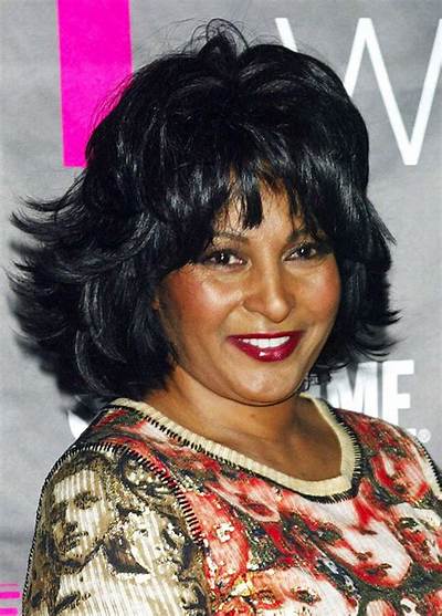 Pam Grier Net Worth, Age, Height, Bio, Birthday, Wiki!