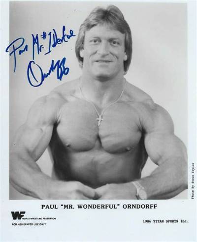 Paul Orndorff Net Worth, Age, Height, Bio, Birthday, Wiki!