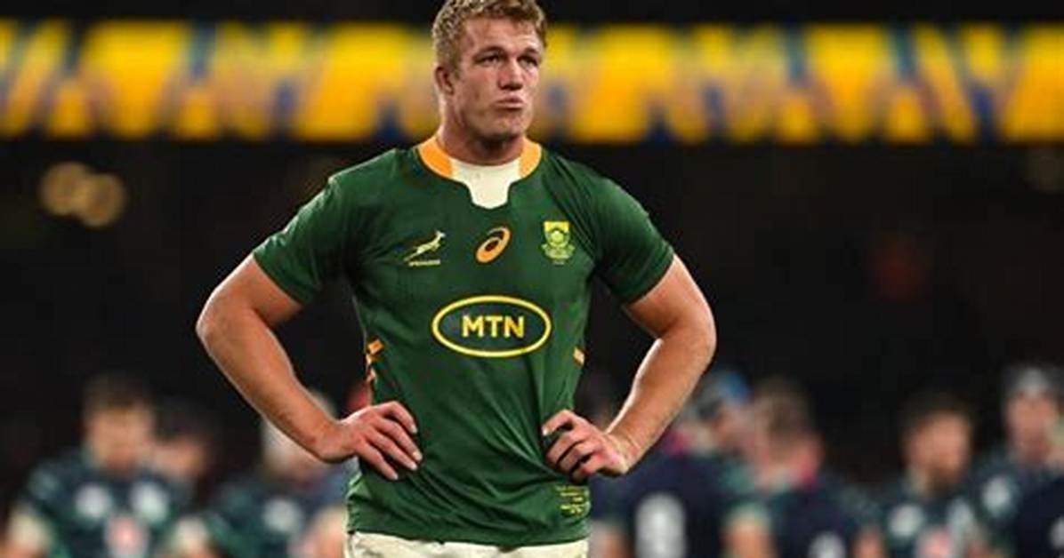 Pieter-Steph Du Toit Net Worth, Age, Height, Bio, Birthday, Wiki!