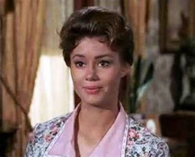 Roberta Shore Net Worth, Age, Height, Bio, Birthday, Wiki!