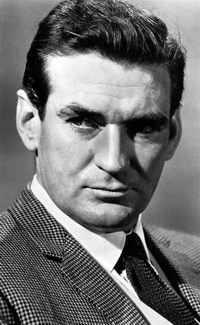 Rod Taylor - Net Worth, Age, Height, Birthday, Bio, Wiki!