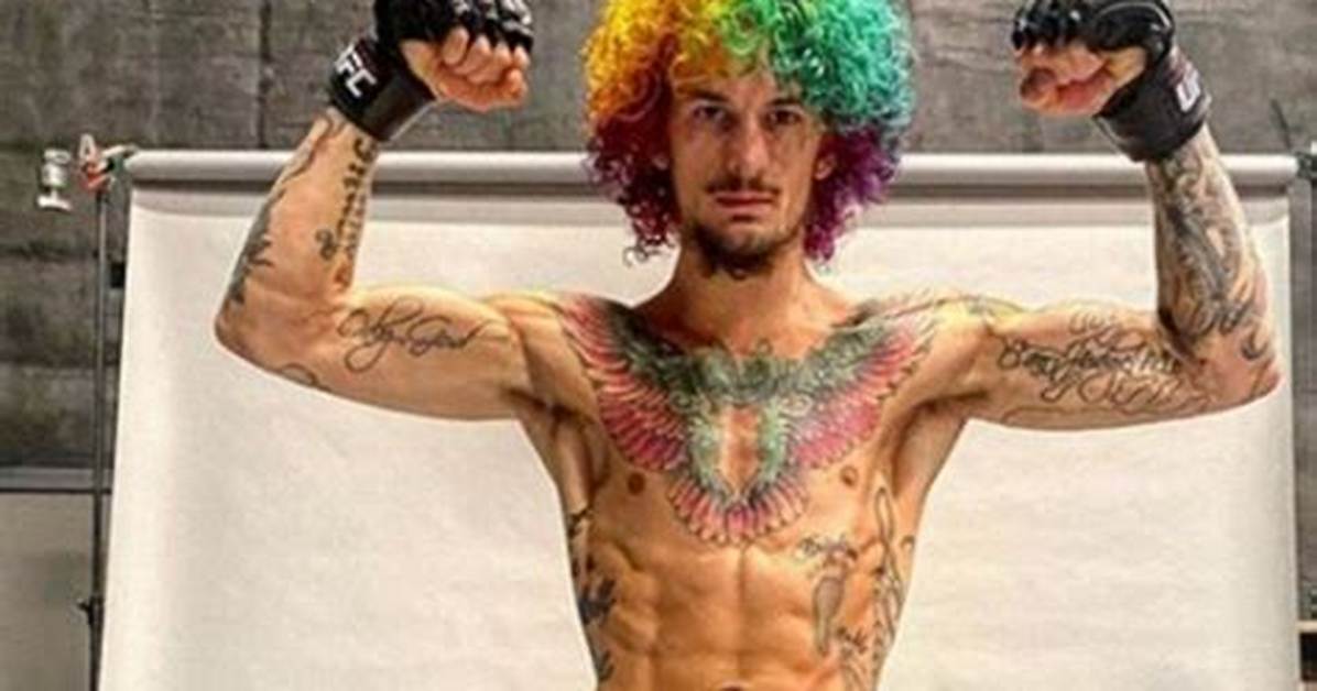 Sean O'malley Net Worth, Age, Height, Bio, Birthday, Wiki!