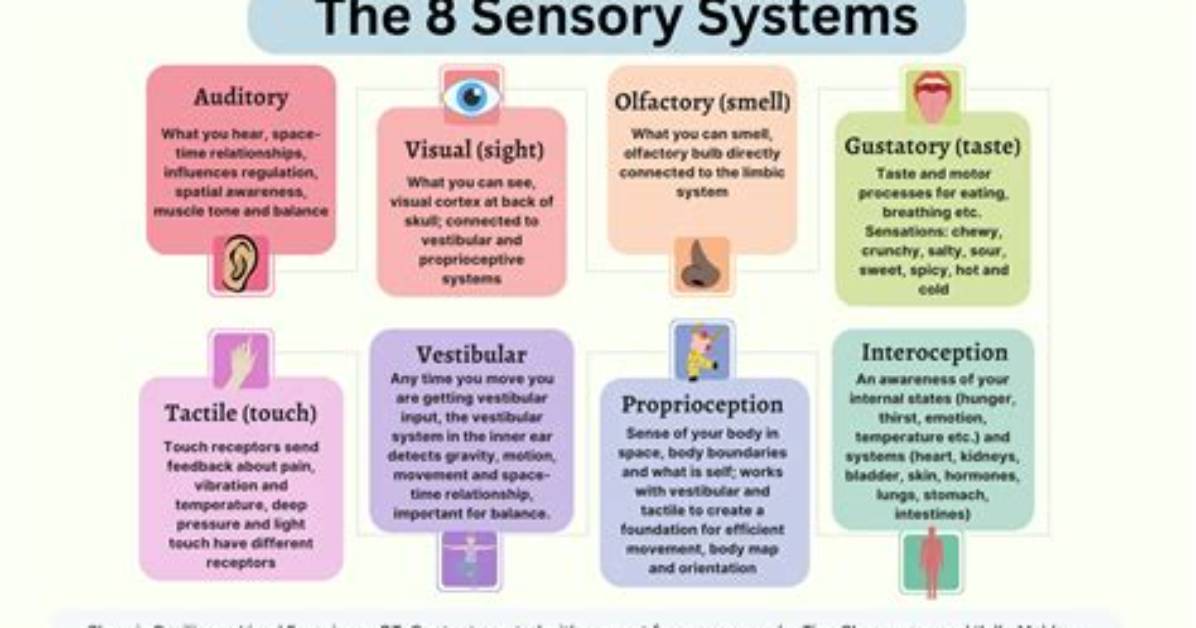 Sensory