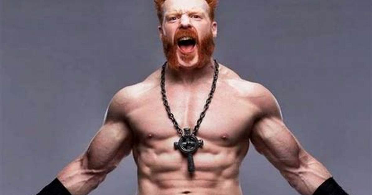 Sheamus Net Worth 2024, Age, Height, Bio, Birthday, Wiki!